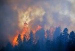 Collective Action to Reduce Wildfire Risk Across Land Ownerships in the Pacific Northwest by Susan Charnley