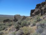 People and Plants in the American Far West: Synthesizing Archaeobotanical Data from Oregon's Great Basin