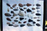 Finding Common Ground Between Archaeologists and Collectors: A Case Study from Northwest Oregon