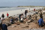 Scotland's Coastal Heritage at Risk by Tom Dawson