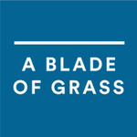 A Blade of Grass