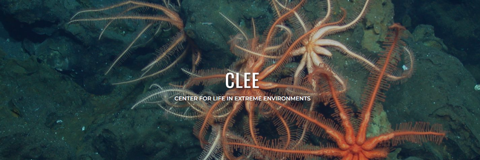 Center for Life in Extreme Environments