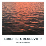 Grief is a Reservoir by Olivia DelGandio