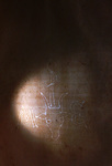 Watermarks in the PSU Codex <i>Fasciculus temporum</i> and the Paper Trade