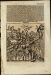 23, Leaf from Registrum huius operis libri cronicarum cum figuris et imagibus ab inicio mundi [Nuremberg Chronicle] by Hartmann Schedel