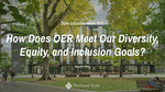 How Does OER Meet Our Diversity, Equity, and Inclusion Goals?