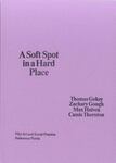 A Soft Spot in a Hard Place by Thomas Gokey, Zachary Gough, Max Haiven, and Cassie Thornton