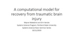 A Computational Model for Recovery from Brain Injury