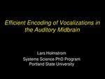 Efficient Encoding of Vocalizations in the Auditory Midbrain by Lars Andreas Holmstrom