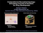 Computational Pharmacology: Simulating Circuits of the Brain for Drug Development