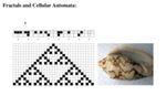 Fractal Dimension as Objective Function in a Genetic Algorithm for Application in Architectural Design by John Charles Driscoll