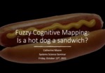Fuzzy Cognitive Mapping: Is a Hot Dog a Sandwich