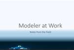 Modeler at Work: Notes from the Field