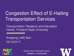 Network Congestion Effect of E-Hailing Transportation Services