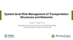 System-level Risk Management of Transportation Structures and Networks